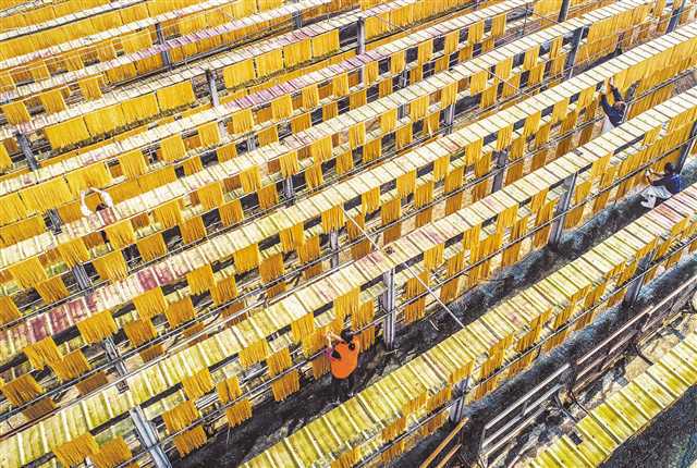 百年粉條與現(xiàn)代科技融合 配套項目建設與技術開發(fā)的雙輪驅動