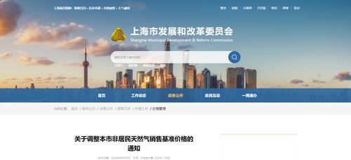 上海市發(fā)改委調(diào)整非居民天然氣售價 對軟件代理與開發(fā)行業(yè)的影響與應(yīng)對策略